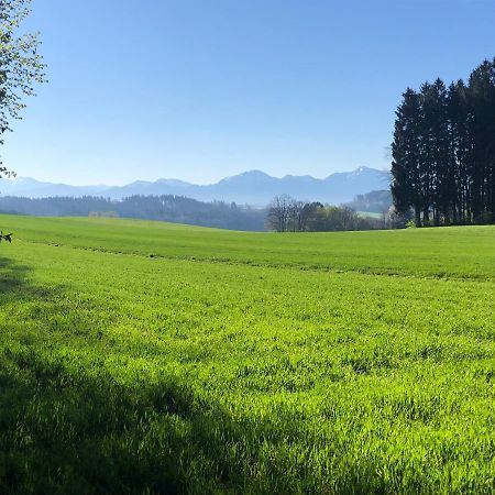 Апартаменти Wanderlust Chiemgau Бад-Ендорф Екстер'єр фото